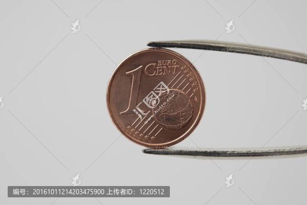 帶雙鉗的歐洲分