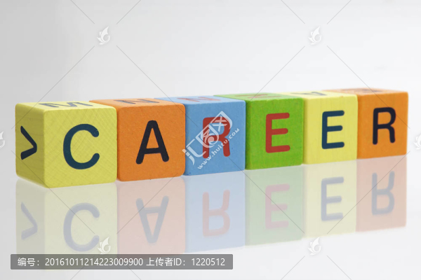 職業(yè)生涯