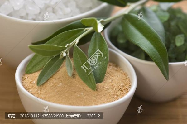 新鮮橄欖枝和沐浴鹽。SPA
