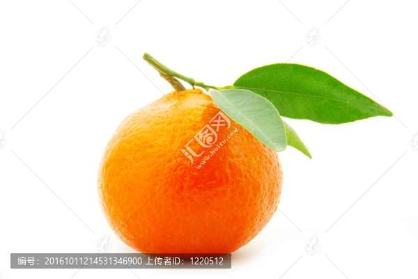 Tangerine夜店