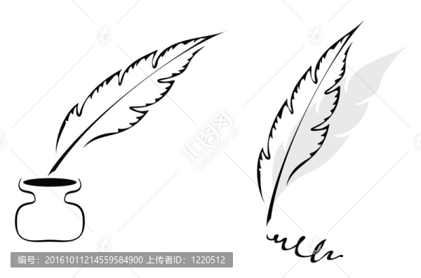 設(shè)計的羽毛