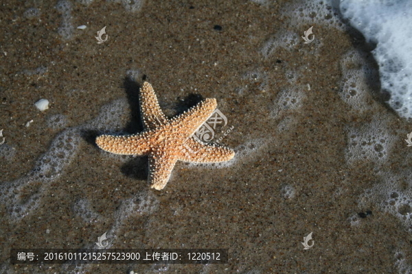 在海灘上放松