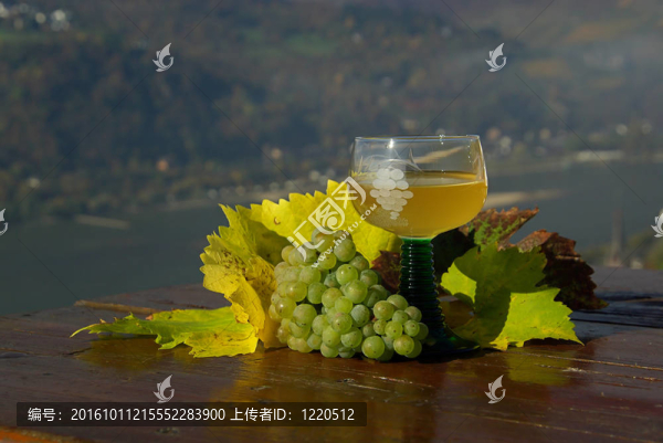 新酒05