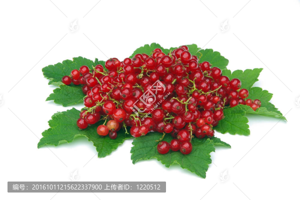 葡萄干06