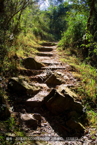 陡峭的小路