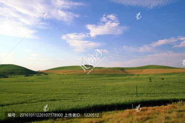 領(lǐng)域