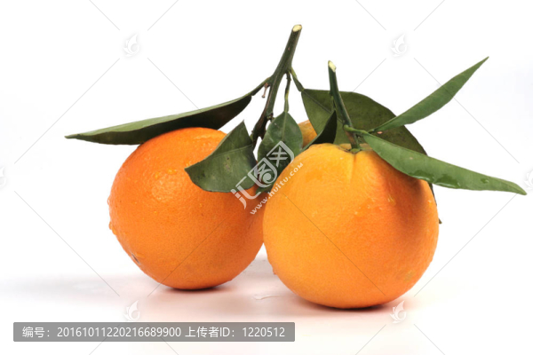 熱帶水果