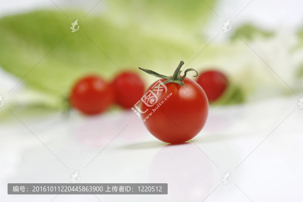 蔬菜
