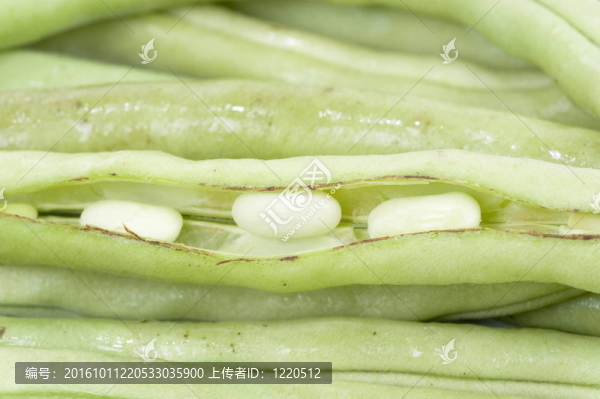 青豆