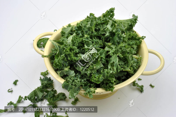 有機(jī)嫩葉羽衣甘藍(lán)洗凈，準(zhǔn)備做飯