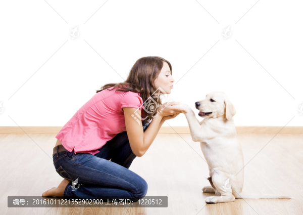 和小狗玩
