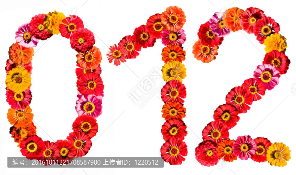 白色花012號