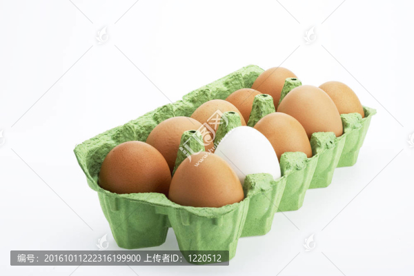 雞蛋盒