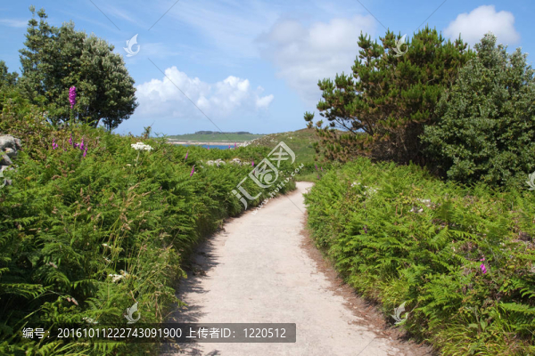 窄的英語國家里；圣艾格尼絲錫利群島。