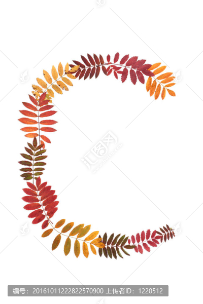 字母C字母