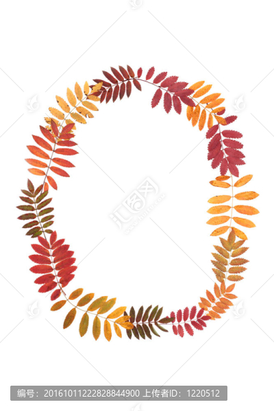 字母O字母