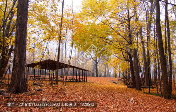 公園里的秋天
