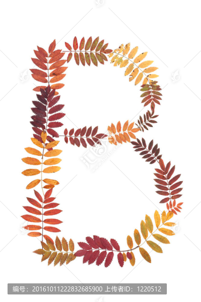 字母B的字母表