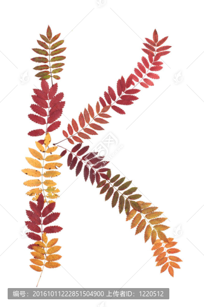 字母K表