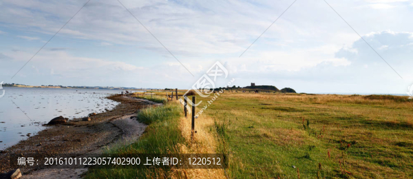 景觀全景