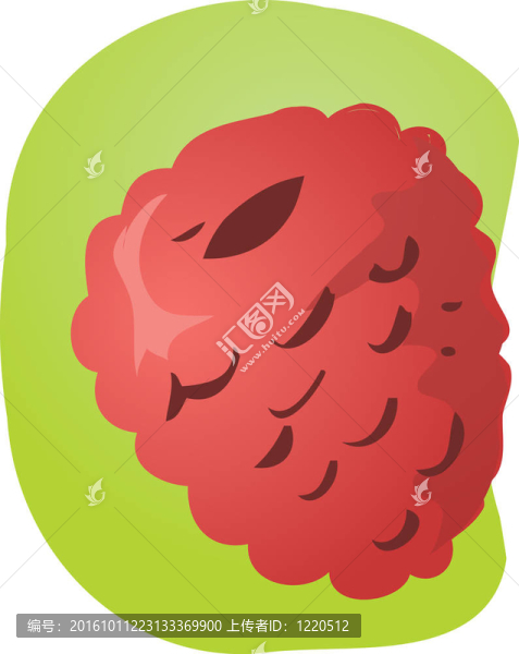 樹莓果實(shí)的插圖