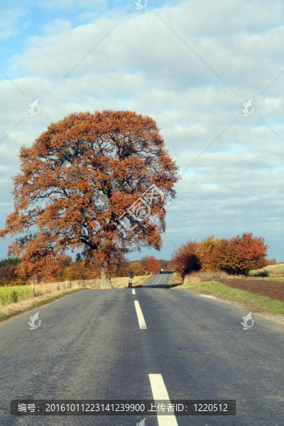 路