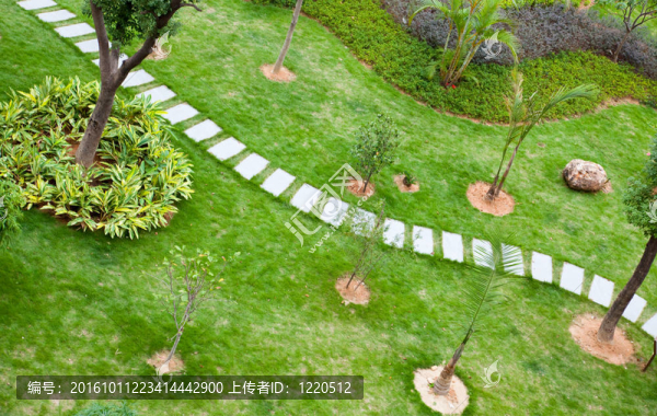 穿過寧靜花園的墊腳石