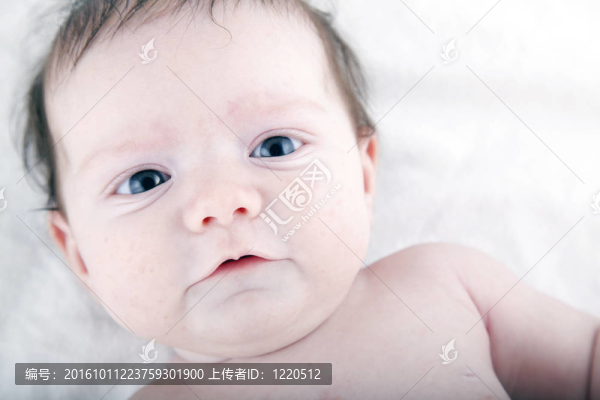 兩個月的寶寶