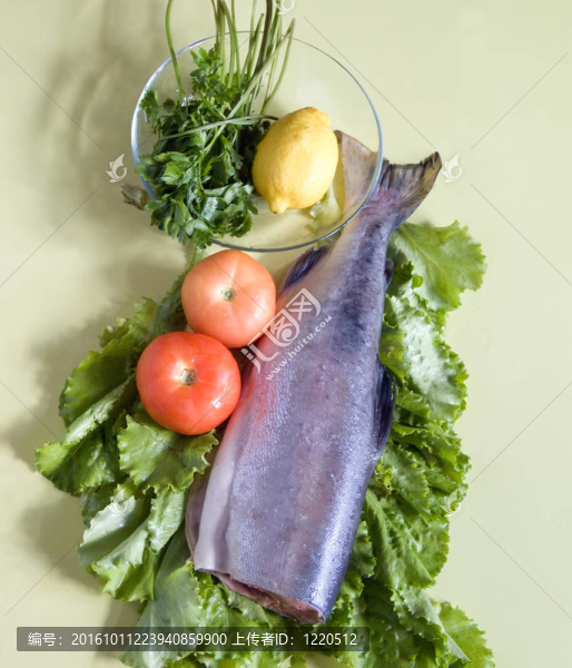 紅色的魚