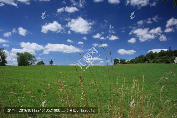 夏天的風(fēng)景