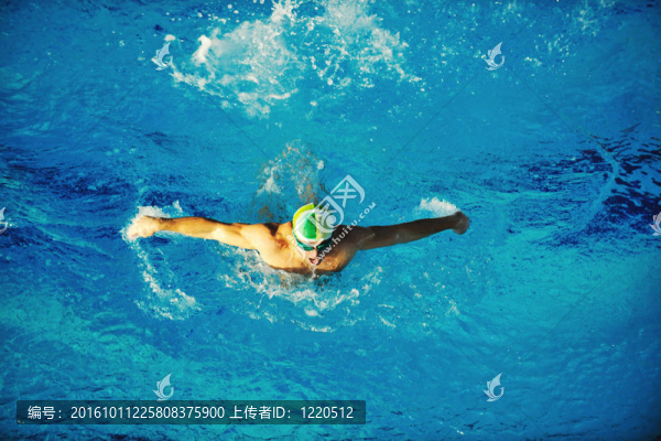 游泳運動員