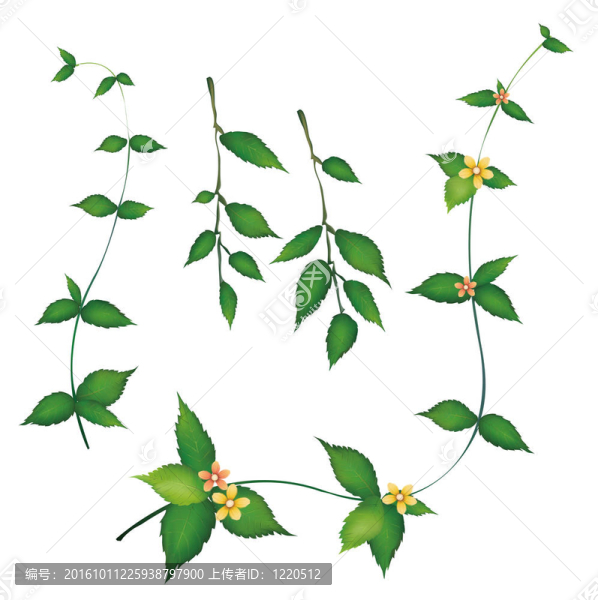 花葉