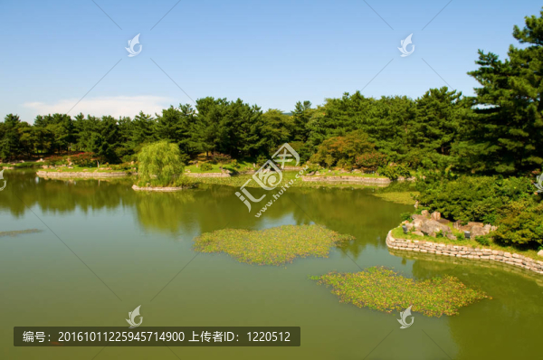 園藝