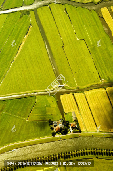 荷蘭景觀