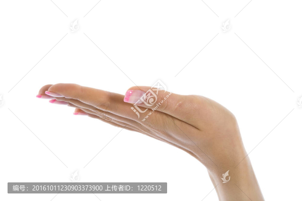 女人的手