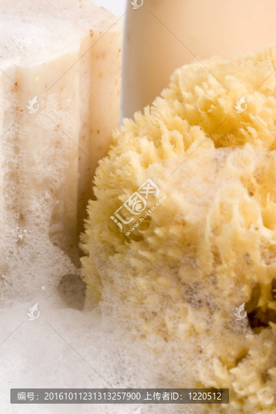 肥皂；天然海綿和泡沫