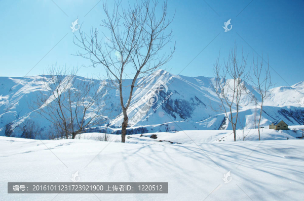 在冬天的雪下的高山