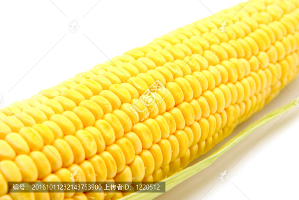 玉米棒子