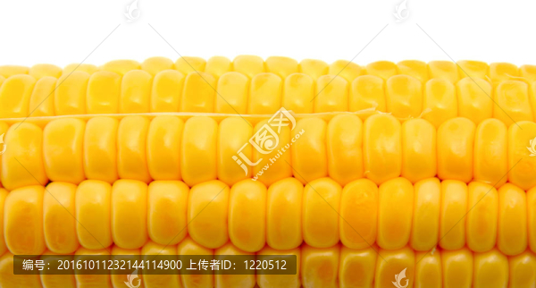 白玉米