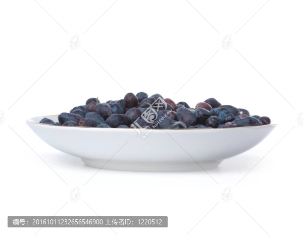 忍冬