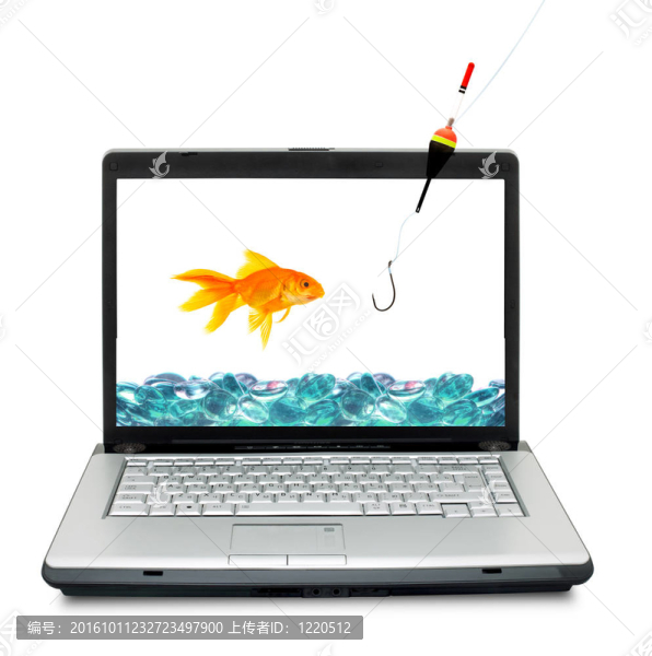 金魚(yú)在魚(yú)缸里