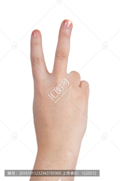 手的符號