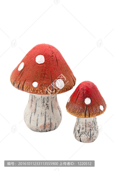 木蘑菇