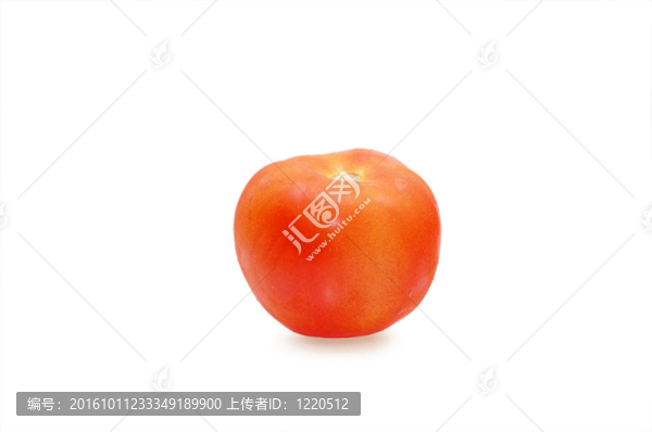 白底紅番茄