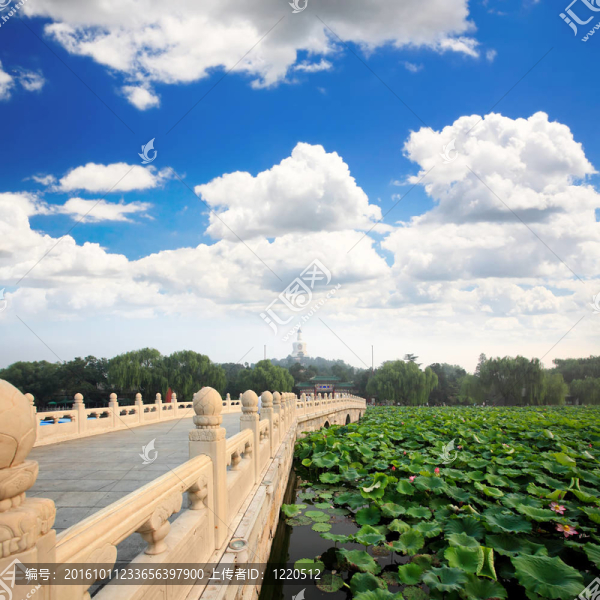 北海公園附近的故宮-北京