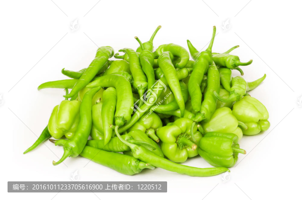 白色背景上的青椒