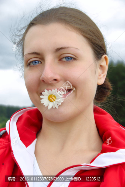 洋甘菊在牙齒的可愛的女孩