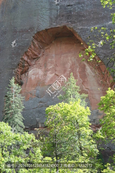 橡樹溪峽谷墻和樹