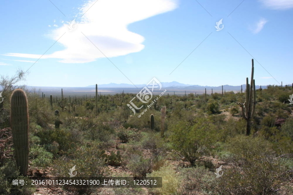 沙漠遠(yuǎn)景
