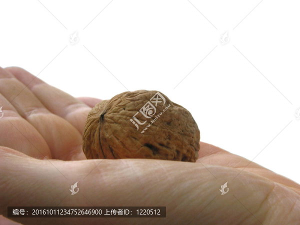 手掌上的一個(gè)核桃